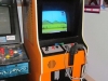 Duck Hunt Cabinet Indianapolis